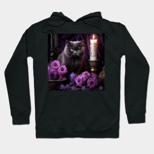 Goth British Shorthair Hoodie